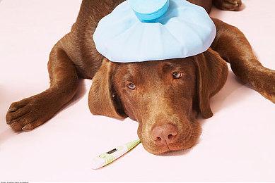 数毛社：《死亡搁浅2》为PS5独占游戏树立了全新画质标杆